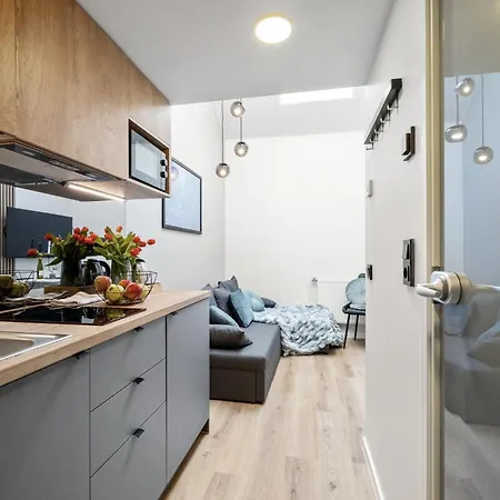 Bright Lofts Near Center Harbour 公寓 塔林