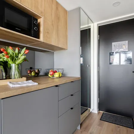 Bright Lofts Near Center Harbour * تالين